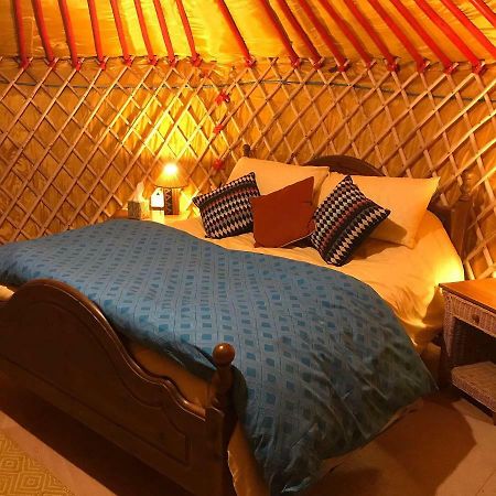 Mcclure Yurt At Carrigeen Glamping Kilkenny Exterior photo